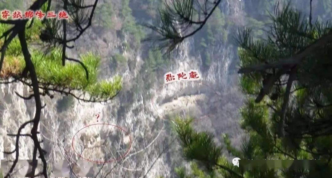 黄浦江租船做演唱会,租甲板船做商务宣传活动