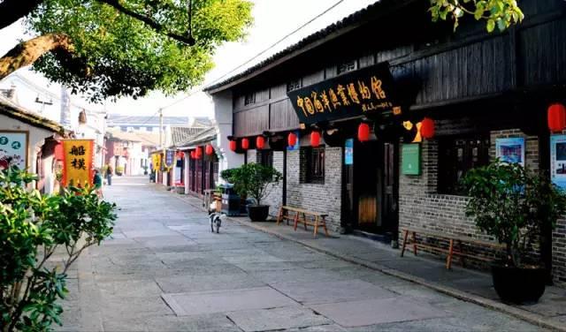 动物帮帮忙保卫家园